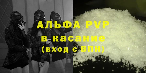 ПСИЛОЦИБИНОВЫЕ ГРИБЫ Верхний Тагил