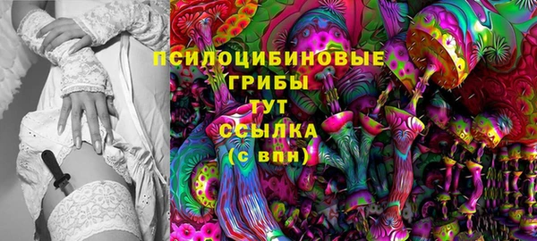 ПСИЛОЦИБИНОВЫЕ ГРИБЫ Верхний Тагил